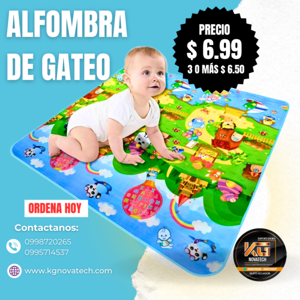 ALFOMBRA DE GATEO - Imagen 2