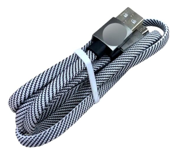 CABLE DE CARGA TIPO C - Imagen 2